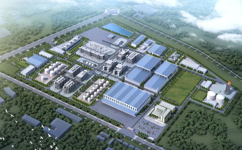 食品超級工廠與“橡膠黃金” 總投資245億元的重大產業項目落地金山，工程總承包模式引領新發展